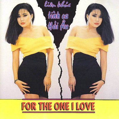 HACD007 - Lien khuc Tinh ca Hai Au - For the one I love