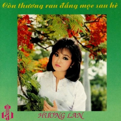 LVCD 004 - Huong Lan - Con thuong rau dang moc sau he