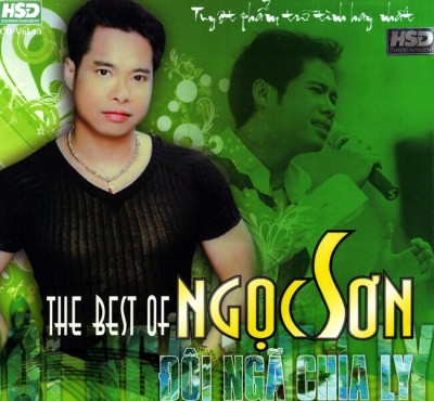 Ngoc Son - The Best Of Ngoc Son_Doi Nga Chia Ly [WAV]