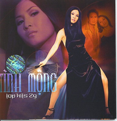 TNCD381 - Top Hits 29 - Tinh mong